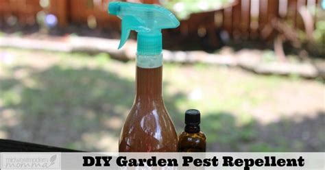 Natural tick repellents for humans and dogs using herbs and essential oils, the best ways to control ticks and tips to avoid getting bit by ticks. Natural Pest Control Spray For Your Garden | Midwest ...