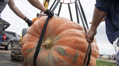 Giant Pumpkins Take Center Stage At Circleville Weigh In
