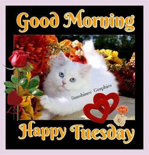 Good Morning Happy Tuesday Pictures Photos And Images