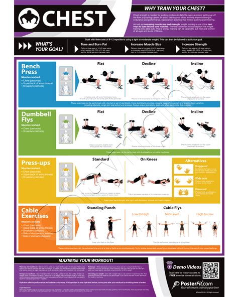 Multi Gym Workout Chart Chest Expander Exercise Chart Chest