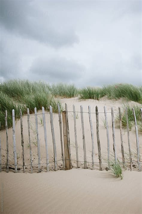 Weathered Wooden Fence And Sand Dunes At The Beach By Stocksy