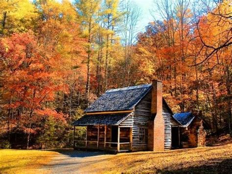 Log Cabin With Autumn Background Primitive And Historic Architecture