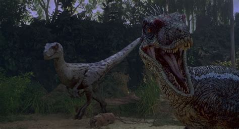 Velociraptor Movie Canon Park Pedia Jurassic Park Dinosaurs Stephen Spielberg