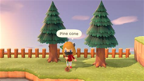 How To Find Acorns And Pine Cones In Animal Crossing New Horizons