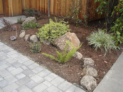 Ground cover plants can dramatically change the way your garden looks and feels to give your garden a polished and complete look that is seen in parks and stately homes. Drought Tolerant Ground Cover Plants | Landscaping Bay Area