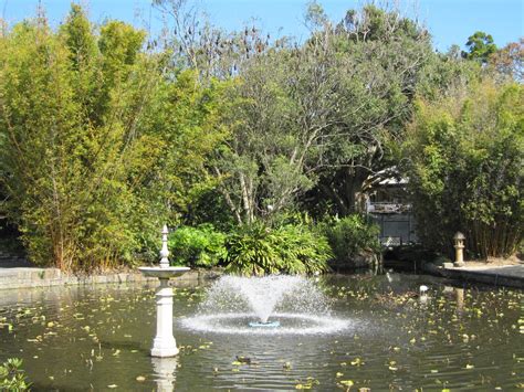 Used symbolically in asian cultures, the plant can also be grown in western. Sydney - City and Suburbs: Botanic Gardens, Lotus Pond