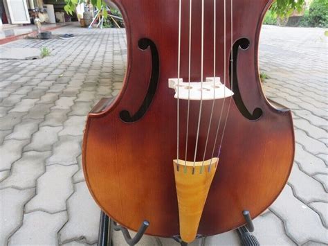 Baroque Style Song Brand Maestro Treble 6 String 25 12 Viola Da