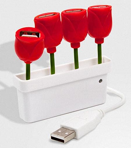 Tulip 4 Port Usb Hub Gadgetsin