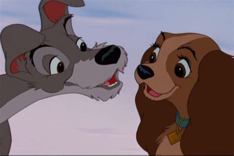 Favourite Couple Poll Results Disneys Lady And The Tramp Fanpop