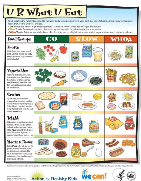 8 Best Images Of Printable Food Charts For Adults Healthy Eating