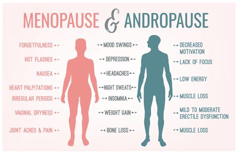 andropause or “male menopause” 20 symptoms that every man should know balanced medical solutions