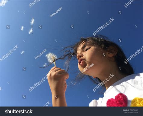 Little Girl Blowing Dandelion Seeds Stock Photo 1506702887 Shutterstock
