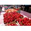 Michigan Cherry Growers Happy To See New Tariff On Turkish Cherries 