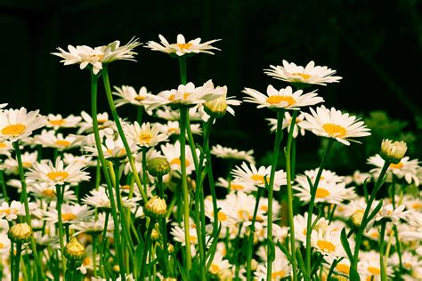 Reach For The Sky Photograph By Deb Henman Fine Art America