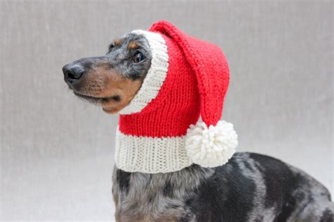Knitting Pattern Bundle Dachshund Dog Santa Hats Christmas Etsy