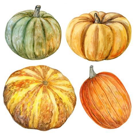 Premium Vector In Watercolor Pumpkins Set