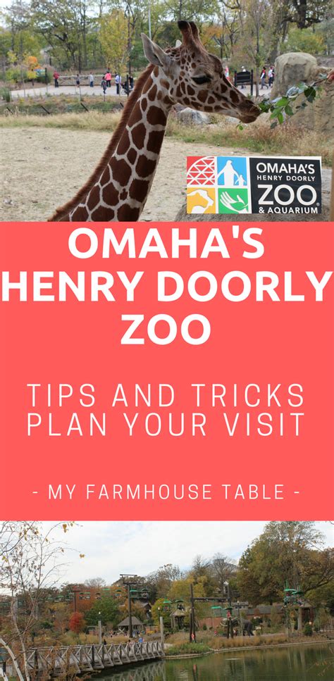 Omaha Henry Doorly Zoo Tips And Tricks To Plan Your Visit Artofit