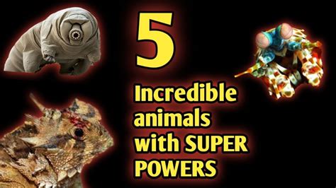 5 Incredible Animals With Super Powers Youtube