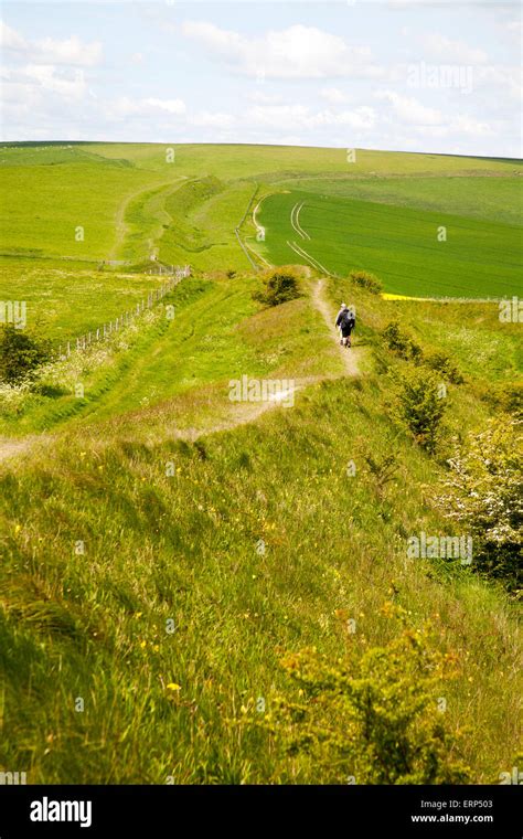 Two Men Walking Along The Ditch And Embankment Of The Wansdyke Tan Hill