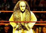 Goldust Says He Is Nearing The End Of His Career