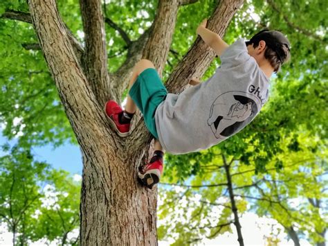 The Simple Joy Of Climbing Trees Active For Life