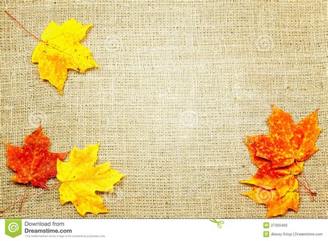 Fall Background Stock Photo Image 27355400