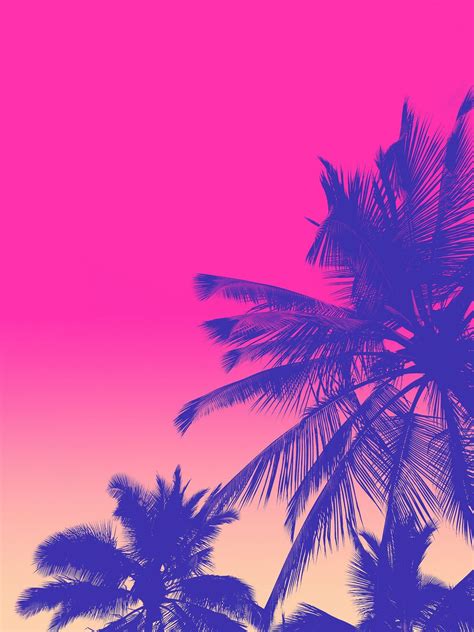 80s Palm Trees Wallpapers Top Free 80s Palm Trees