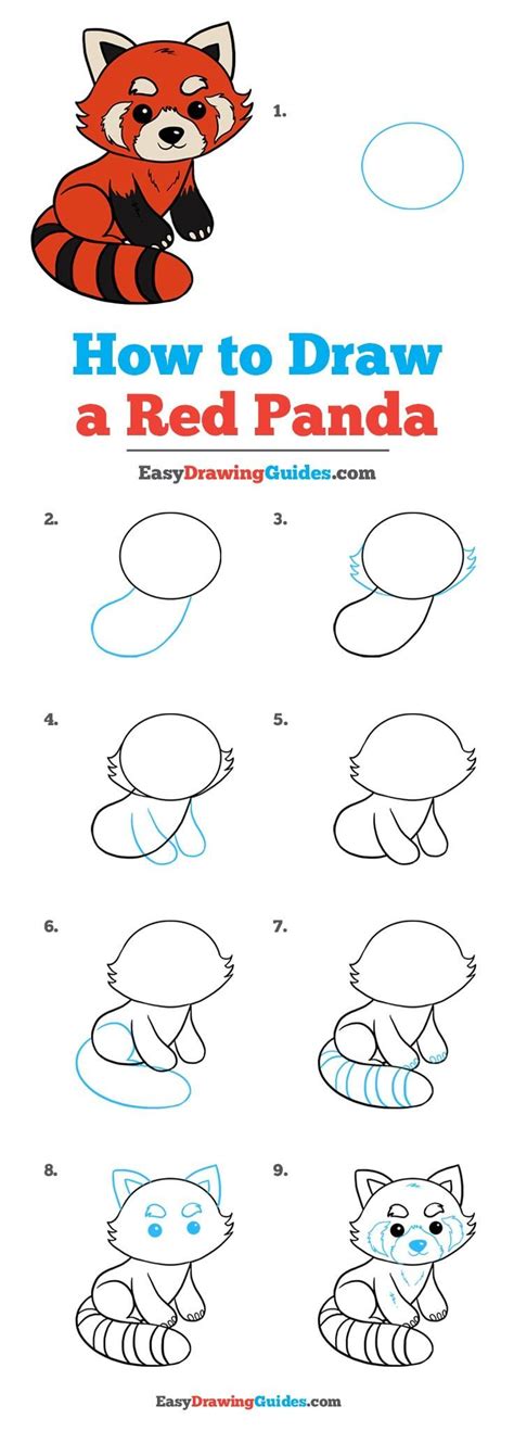 Step By Step How To Draw A Panda Bear At Drawing Tutorials