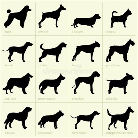 Dog Breeds Vector Silhouettes Set Stock Vector Illustration Of German