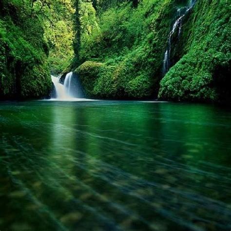 Beautiful And Refreshing Waterfall Waterfall Wallpaper Forest Waterfall