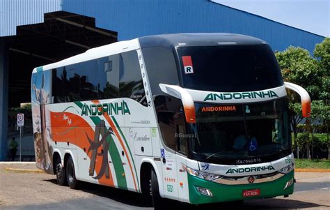 Andorinha Horários Passagens Contato E Mais Horáriosdeônibus