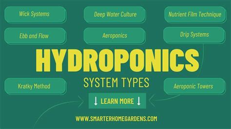 The Different Types Of Hydroponic Systems With Diagrams Smarter