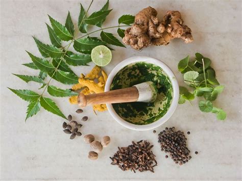 discover ayurveda s top five most powerful medicinal plants to heal and restore your body