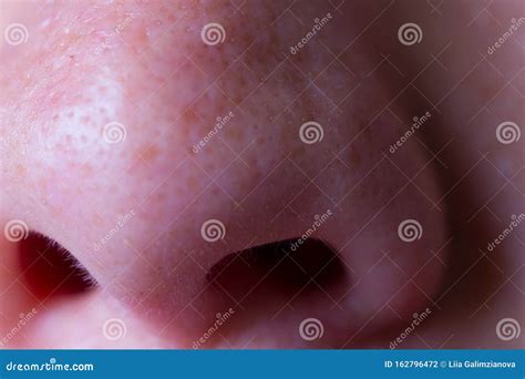 Close Up Of Woman Nose Stock Photo Image Of Macro Problem 162796472