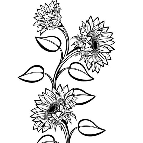 Black And White Sunflowers For Design Svg Sunflower Cut File Etsy