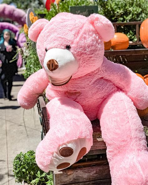 Sweet Pink Giant Teddy Bear 160cm 63 Inches Best T Idea Etsy