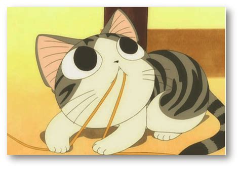 Top 10 Most Adorable Cats In Anime Cutest Pets In Anime