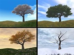 Seasons explained | Seasons for KS1 children | Spring, summer, winter ...