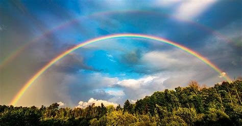 Archie knows there's nothing to be ashamed about, really. There is always a rainbow-smile - My Zen Organics in 2020 ...