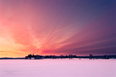Зимний розовый рассвет множество фото