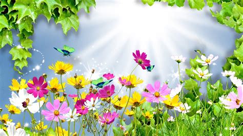 Beautiful Flower Wallpapers For Desktop Animated