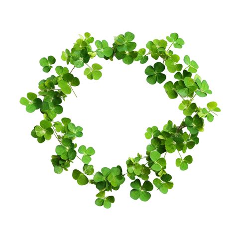 Ireland Four Leaf Clover Shamrock Ai Generative 33849081 Png