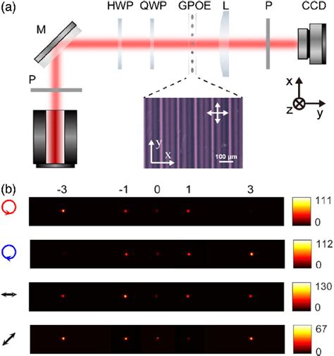 Muller's method for finding roots including simple examples, discussion of order, and biography of david eugene muller. (a) Optical setup for a polarimeter based on GPOE. A ...