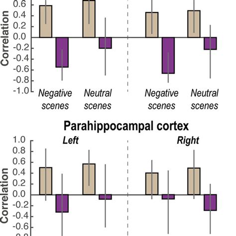 Brainbehavior Correlations Pearson Correlation Skipping Bivariate
