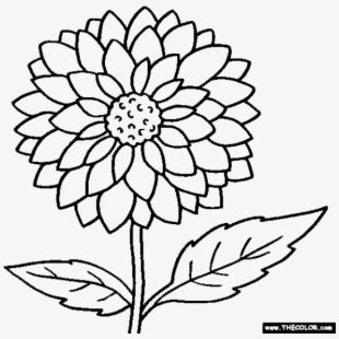 Coloring pages helps to improve motor skills and understanding of colors. Roots Clipart Flower - Coloring Flower With Roots ...
