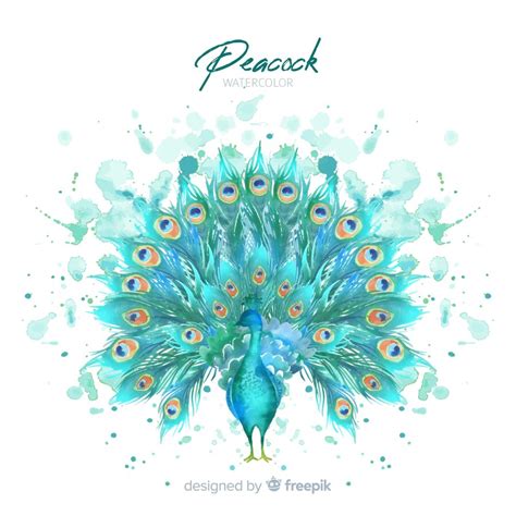 premium vector peacock in watercolor style