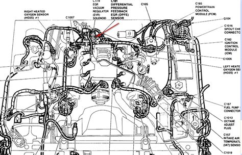 Crown Victoria V8 461995 Model Have Diagnostic Code 401exhaust Gas