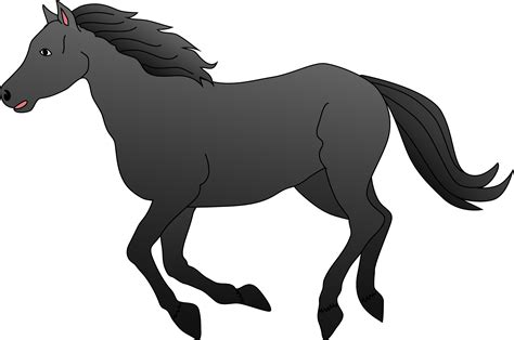 Horse Black And White Clipart Do Black And White Horses Always Have