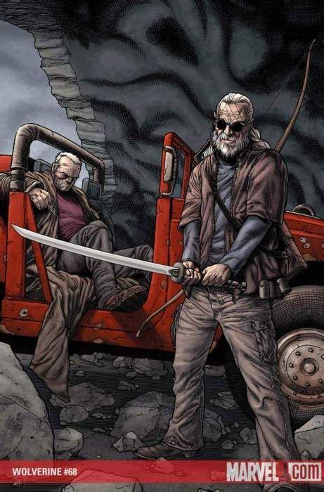 Old Man Logan And Hawkeye By Steve Mcniven Marvel Comics Art Old Man