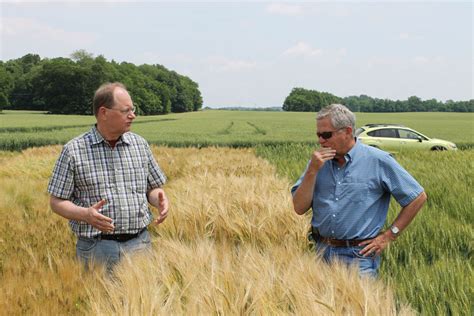 Only the varieties on the malting barley variety designation list are eligible for the malting grades. Malt Barley from Walnut Grove KY | Double Eagle Malt
